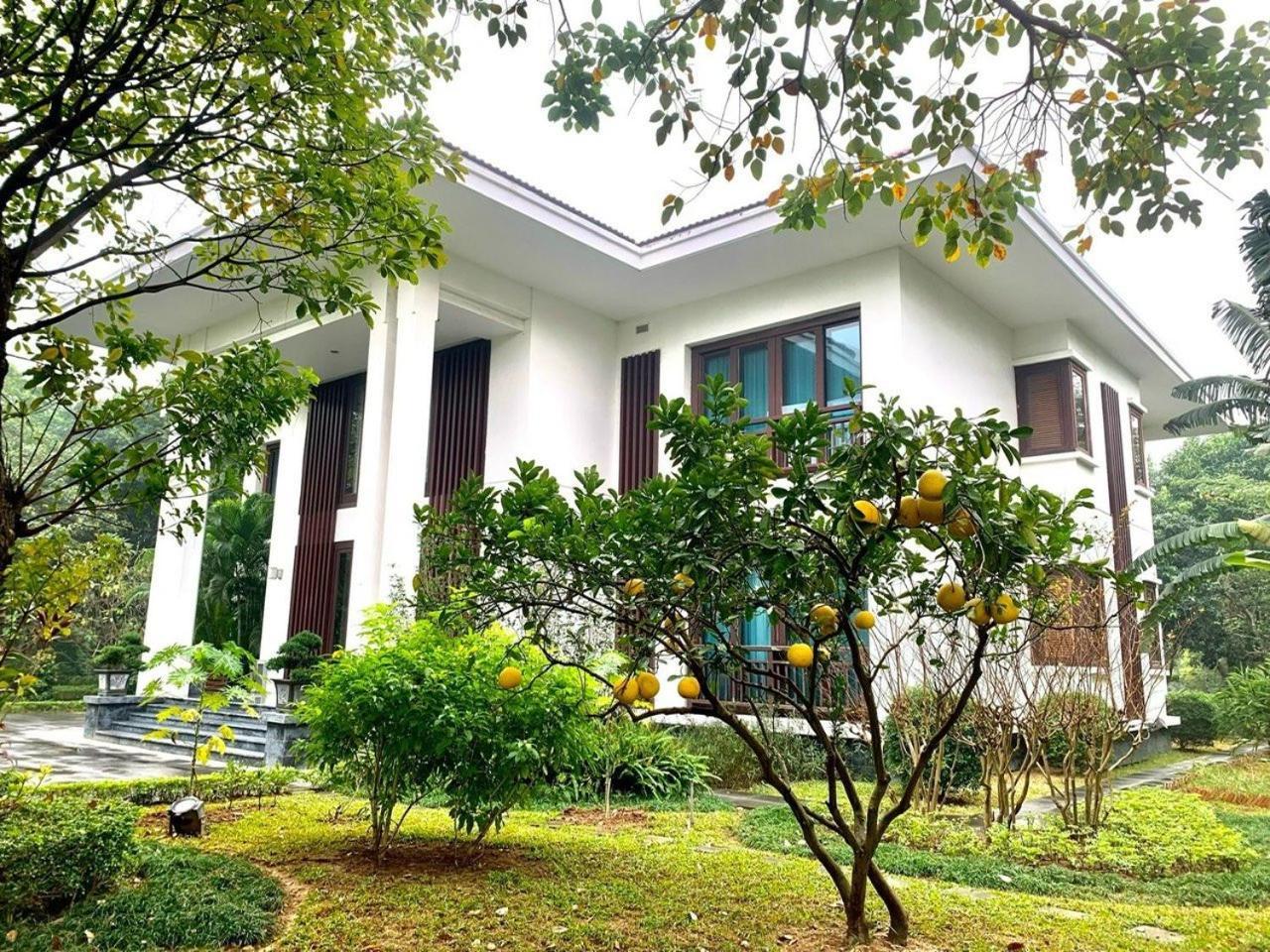 Ncc Garden Villas - Ncc Hotel Hanoi Eksteriør billede